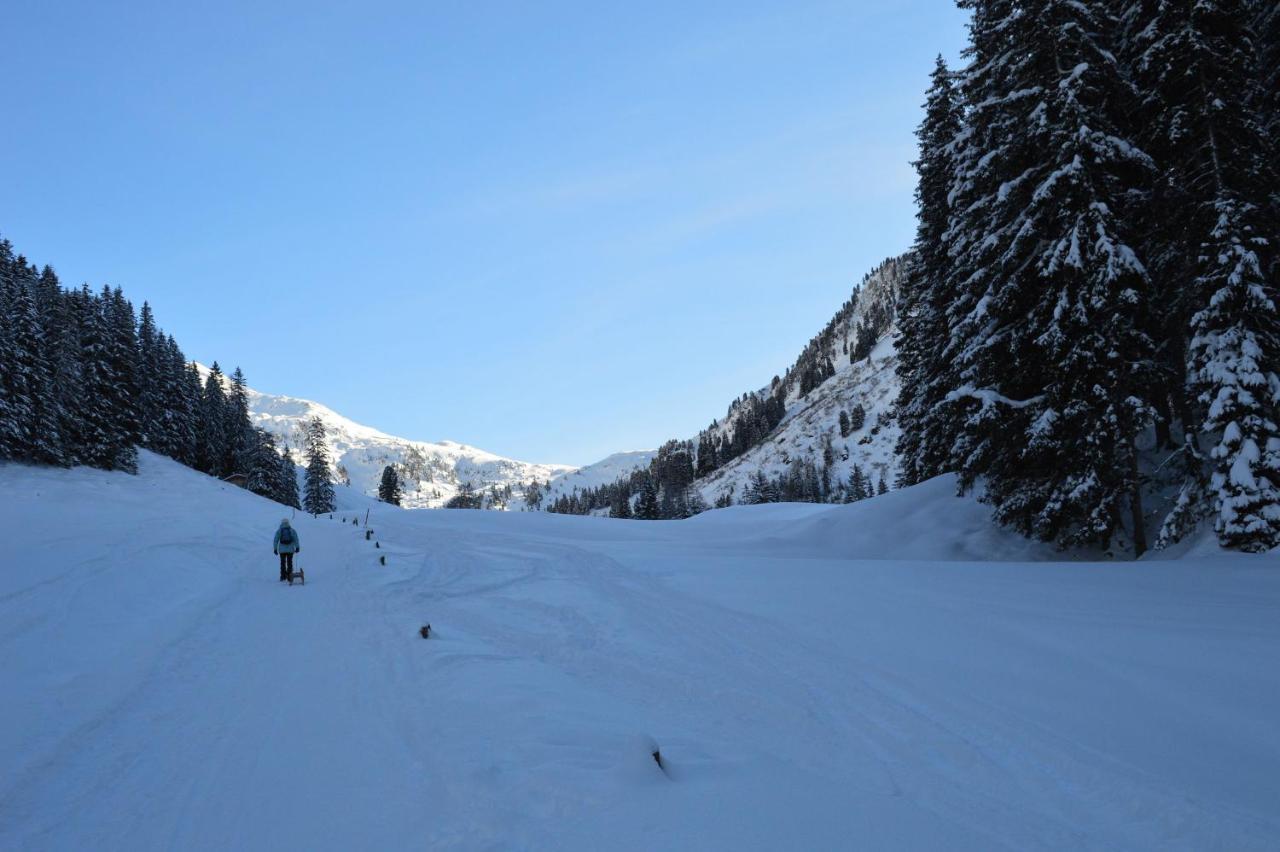 Ferienwohnungen Lehenhof Alpbach Exterior photo